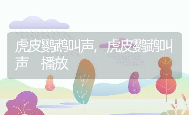 虎皮鹦鹉叫声,虎皮鹦鹉叫声 播放 | 宠物百科知识