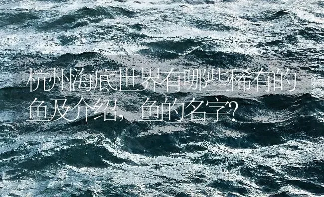 杭州海底世界有哪些稀有的鱼及介绍，鱼的名字？ | 鱼类宠物饲养