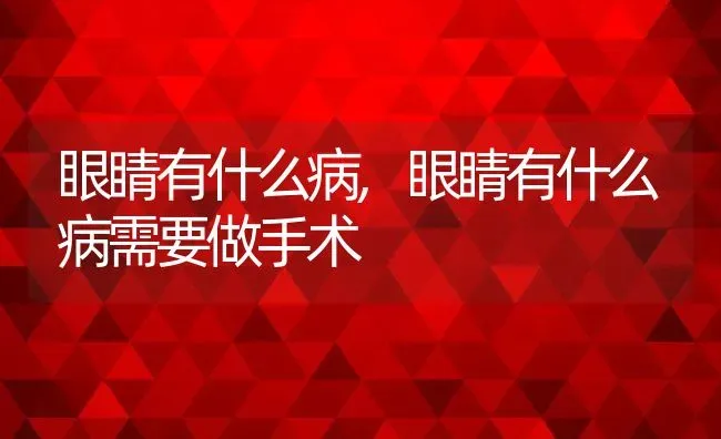 眼睛有什么病,眼睛有什么病需要做手术 | 宠物百科知识