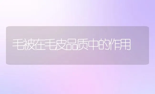 猪病治疗中常见的几个错误 | 动物养殖学堂