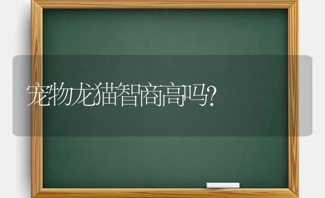 狗狗三岁相当于人类多大？ | 动物养殖问答