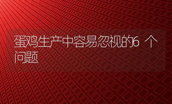 蛋鸡生产中容易忽视的6个问题 | 动物养殖饲料