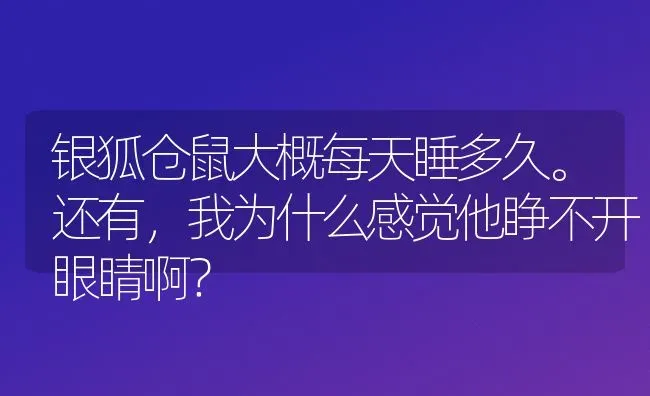 银狐仓鼠大概每天睡多久。还有，我为什么感觉他睁不开眼睛啊？ | 动物养殖问答