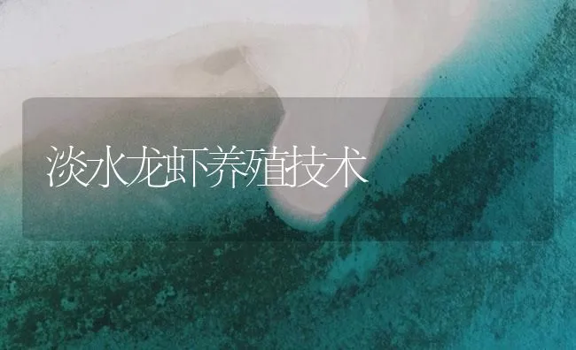 淡水龙虾养殖技术 | 海水养殖技术