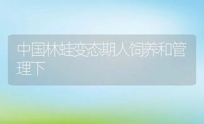 中国林蛙变态期人饲养和管理下 | 水产养殖知识