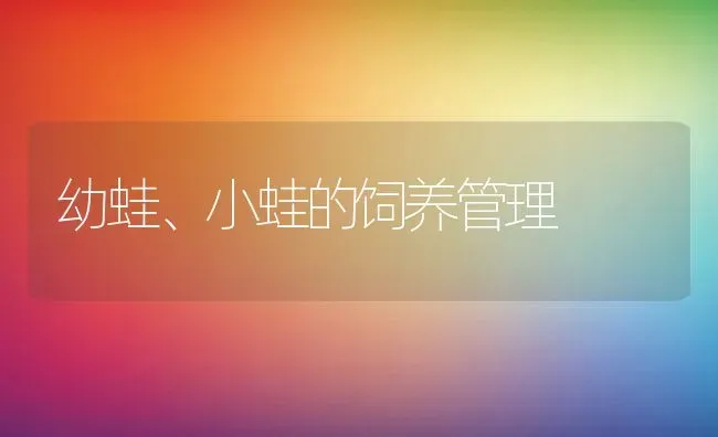 孔雀要怎么养？怎么让孔雀开屏 | 动物养殖教程