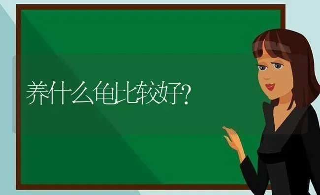 请问金毛可以吃甜食么?蛋糕豆浆可以么？ | 动物养殖问答