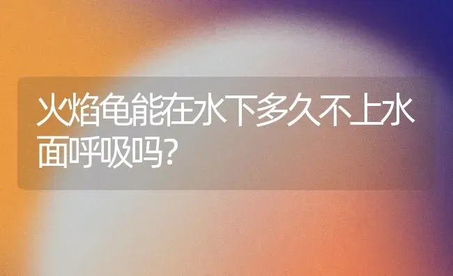 火焰龟能在水下多久不上水面呼吸吗？ | 动物养殖问答