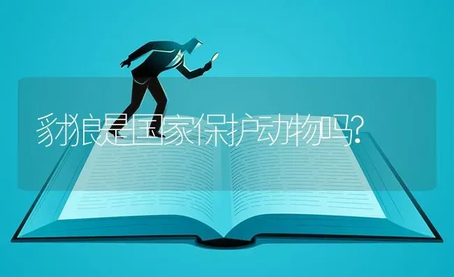 豺狼是国家保护动物吗? | 动物养殖问答