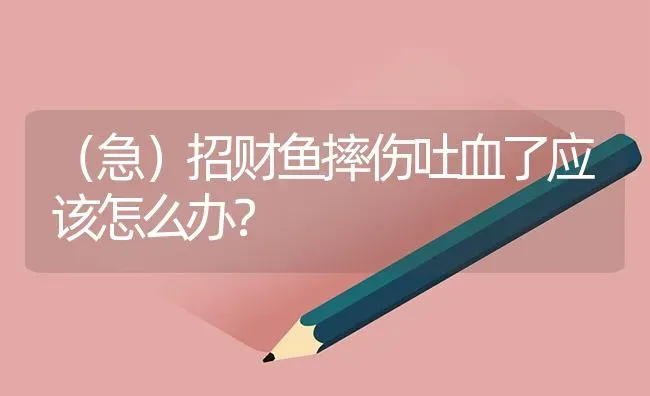 （急）招财鱼摔伤吐血了应该怎么办？ | 鱼类宠物饲养