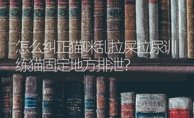 怎么纠正猫咪乱拉屎拉尿训练猫固定地方排泄？ | 动物养殖问答