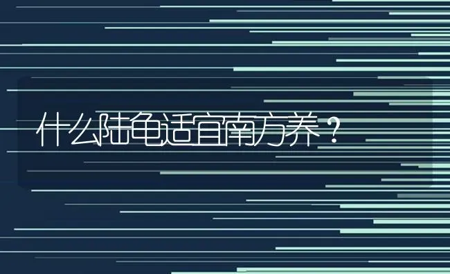 什么陆龟适宜南方养？ | 动物养殖问答