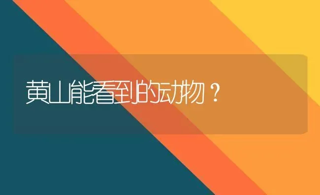 黄山能看到的动物？ | 动物养殖问答