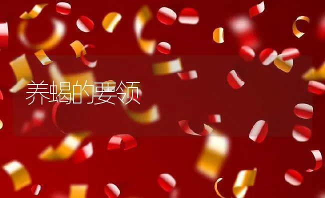 养蝎的要领 | 动物养殖饲料