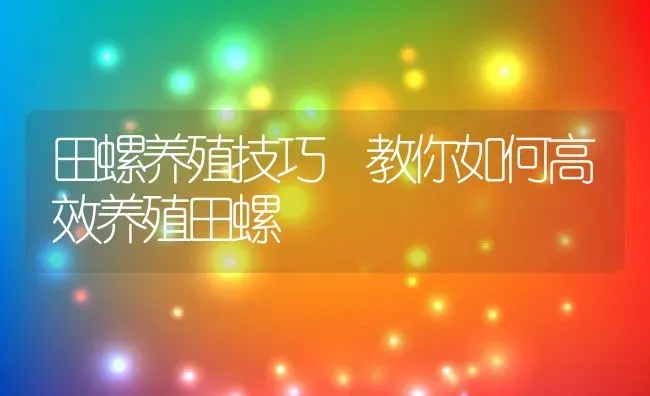 田螺养殖技巧 教你如何高效养殖田螺 | 动物养殖百科