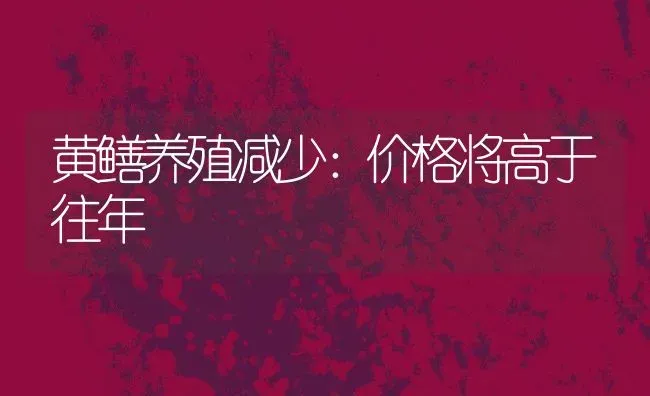 黄鳝养殖减少：价格将高于往年 | 动物养殖百科