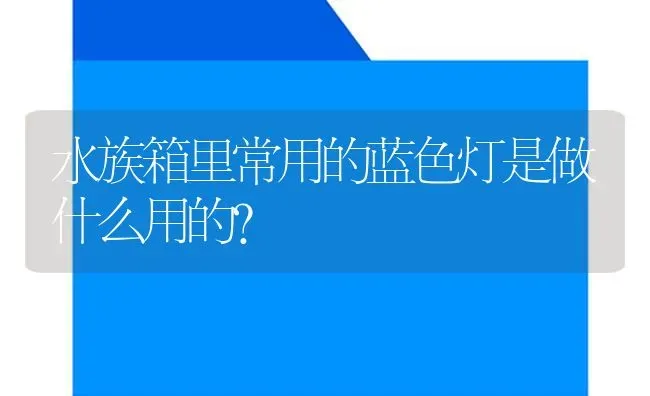 水族箱里常用的蓝色灯是做什么用的？ | 鱼类宠物饲养