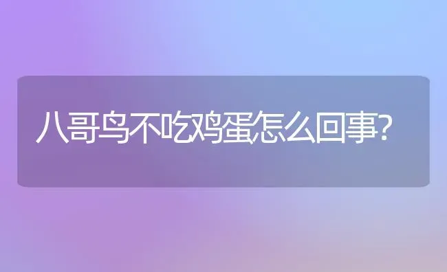 五个月柯基能跑多远？ | 动物养殖问答