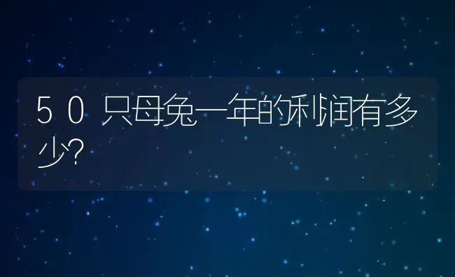 50只母兔一年的利润有多少？ | 动物养殖百科