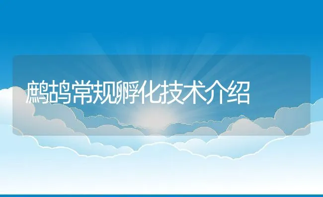 鹧鸪常规孵化技术介绍 | 水产养殖知识