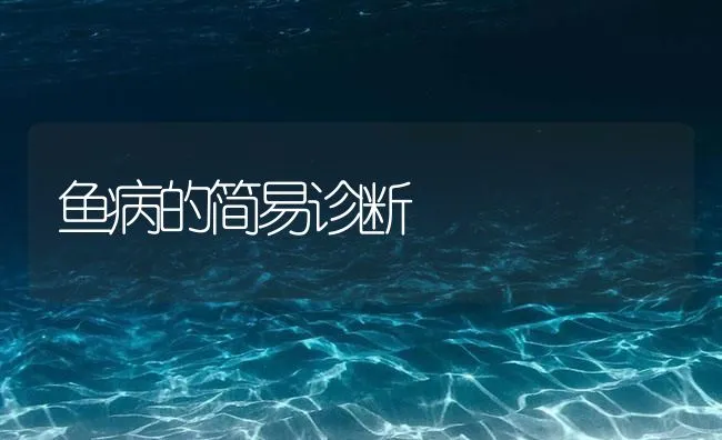 鱼病的简易诊断 | 海水养殖技术