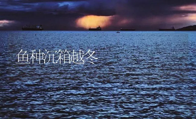 鱼种沉箱越冬 | 海水养殖技术