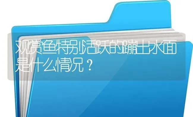 观赏鱼特别活跃的蹦出水面是什么情况？ | 鱼类宠物饲养