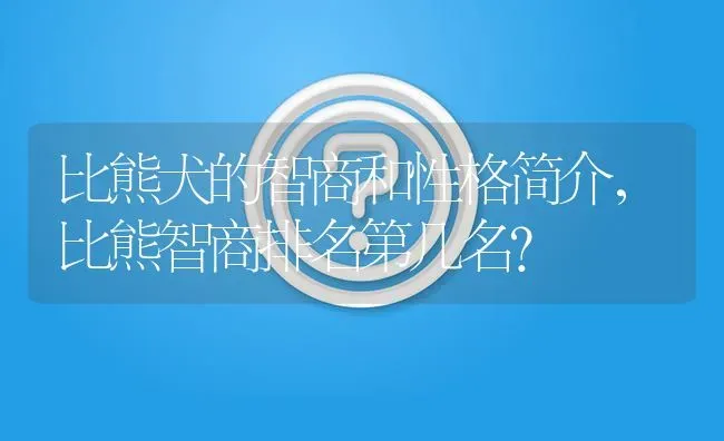 比熊犬的智商和性格简介，比熊智商排名第几名？ | 动物养殖问答