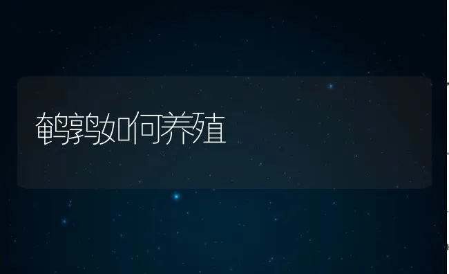 鹌鹑如何养殖 | 水产养殖知识