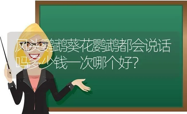 凤头鹦鹉葵花鹦鹉都会说话吗多少钱一次哪个好？ | 动物养殖问答