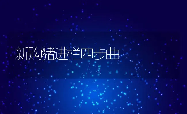 新购猪进栏四步曲 | 动物养殖学堂