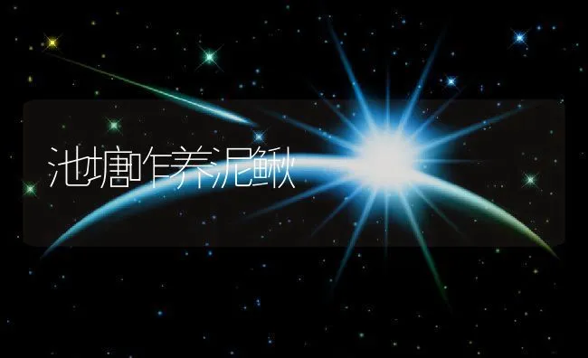 池塘咋养泥鳅 | 水产养殖知识