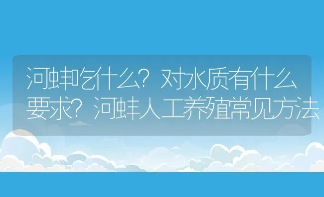 河蚌吃什么？对水质有什么要求？河蚌人工养殖常见方法 | 动物养殖百科