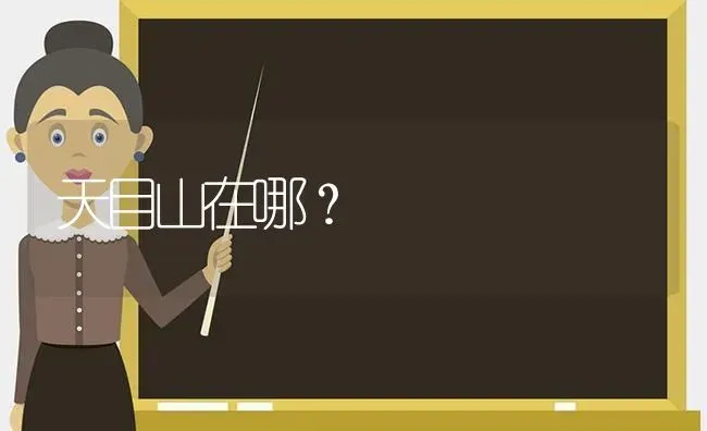 比熊犬粘人么？ | 动物养殖问答