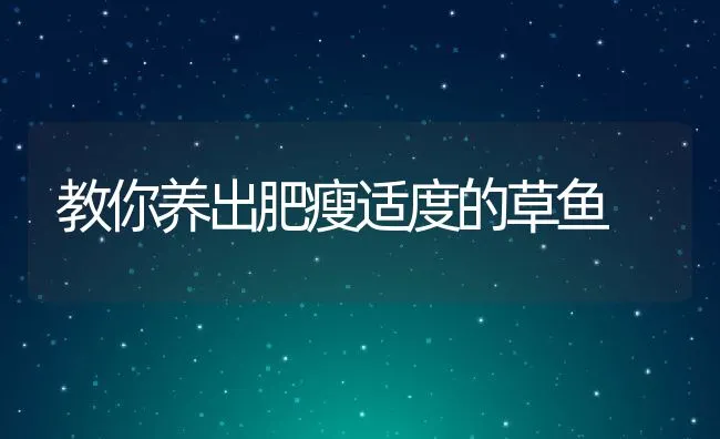 鳜鱼养殖之原虫病防治技术 | 海水养殖技术