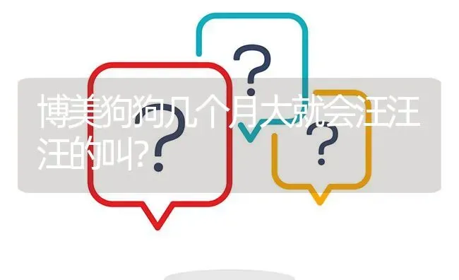 博美狗狗几个月大就会汪汪汪的叫？ | 动物养殖问答