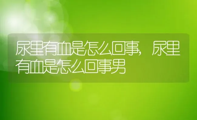 尿里有血是怎么回事,尿里有血是怎么回事男 | 宠物百科知识