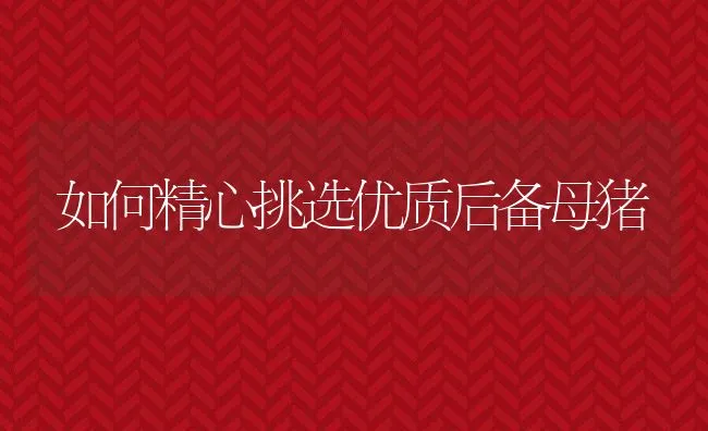 美国红鱼育苗技术 | 海水养殖技术