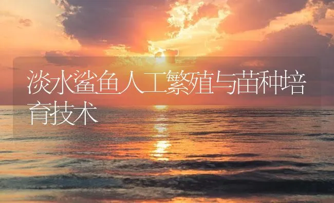 淡水鲨鱼人工繁殖与苗种培育技术 | 海水养殖技术