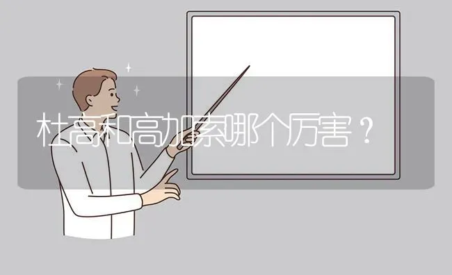 杜高和高加索哪个厉害？ | 动物养殖问答