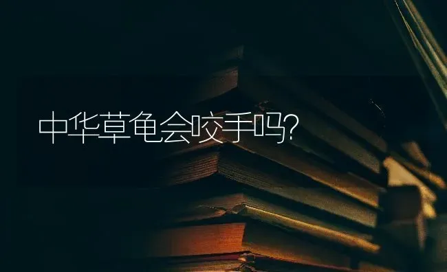 中华草龟会咬手吗？ | 动物养殖问答