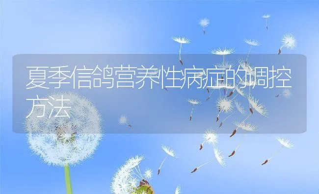 光照对饲养獭兔的影响 | 动物养殖学堂