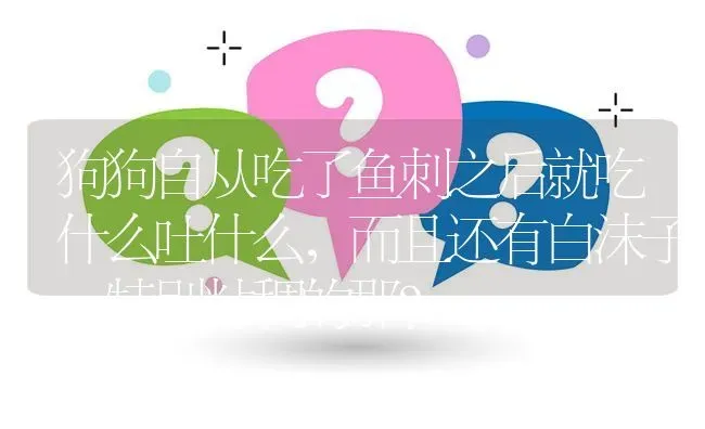 狗狗自从吃了鱼刺之后就吃什么吐什么，而且还有白沫子，特别粘稠的那？ | 动物养殖问答