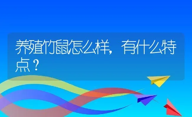 养殖竹鼠怎么样，有什么特点？ | 动物养殖教程