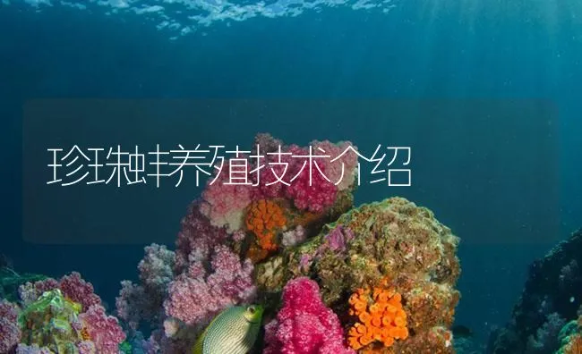 珍珠蚌养殖技术介绍 | 海水养殖技术