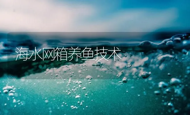 海水网箱养鱼技术 | 海水养殖技术