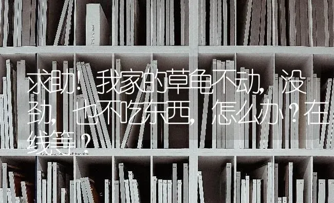 求助!我家的草龟不动，没劲，也不吃东西，怎么办？在线等？ | 动物养殖问答