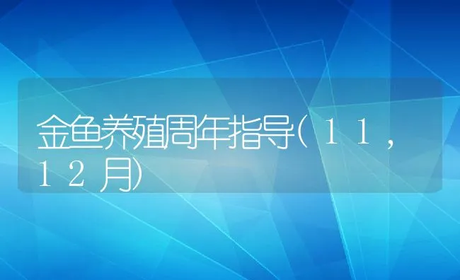 金鱼养殖周年指导(11,12月) | 动物养殖饲料