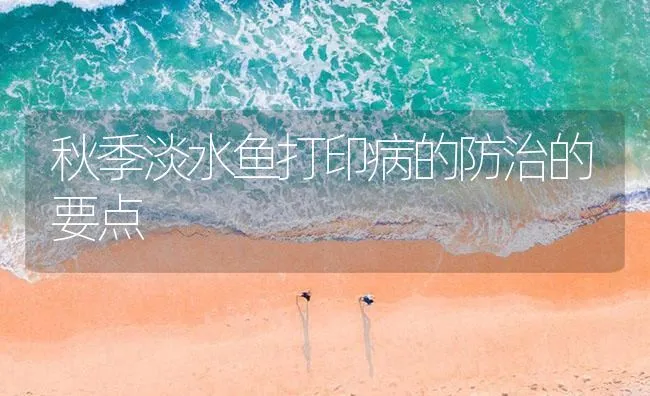 秋季淡水鱼打印病的防治的要点 | 海水养殖技术