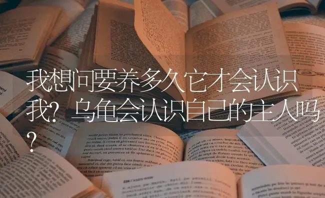 我想问要养多久它才会认识我？乌龟会认识自己的主人吗？ | 动物养殖问答